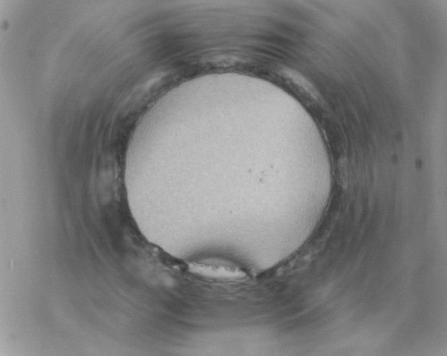 X0000077361111200611171916