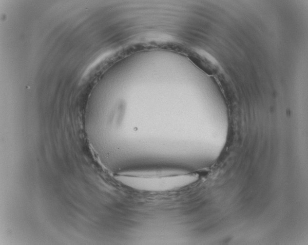 X0000077361112200611171916