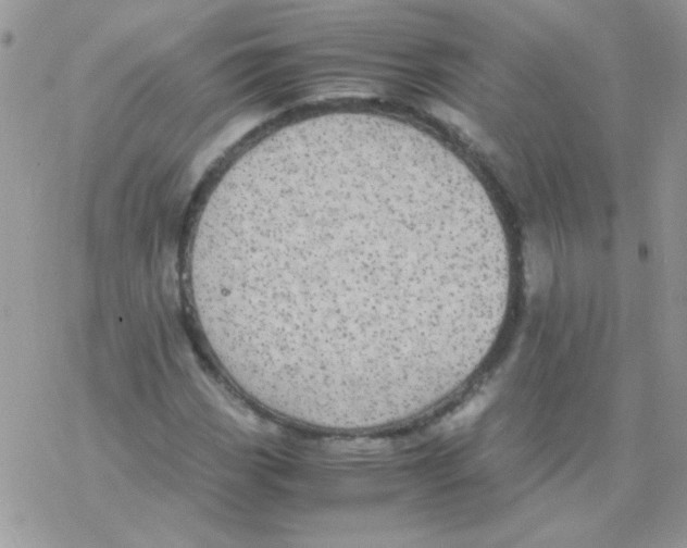 X0000077361113200611171916