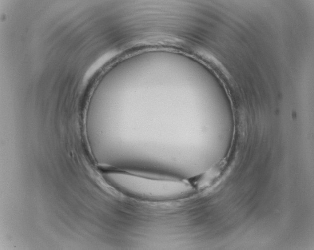 X0000077361114200611171916