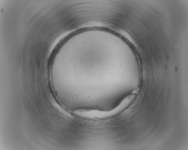 X0000077361116200611171916