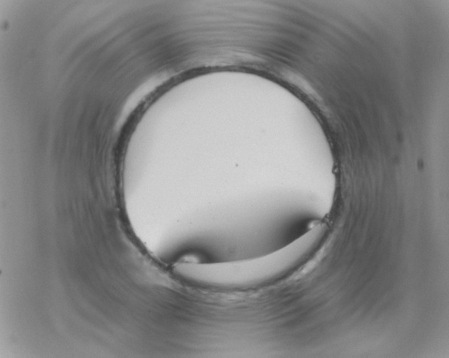 X0000077361122200611171916