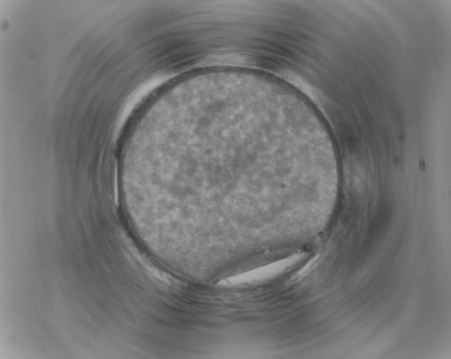 X0000077361123200611171916