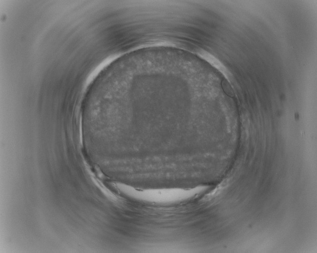 X0000077361127200611171916