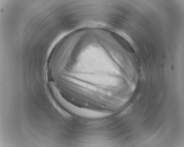 X0000077361128200611171916