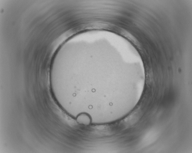 X0000077361130200611171916