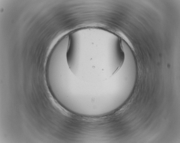 X0000077361132200611171916