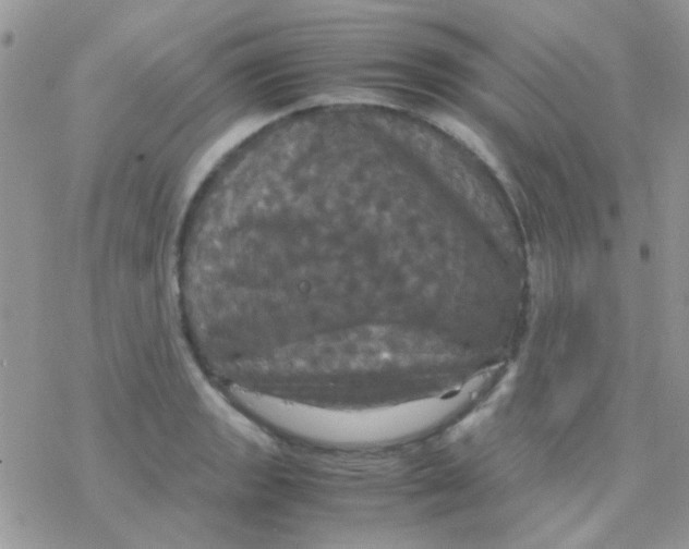 X0000077361133200611171916