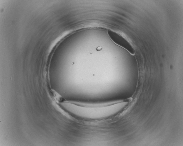 X0000077361134200611171916