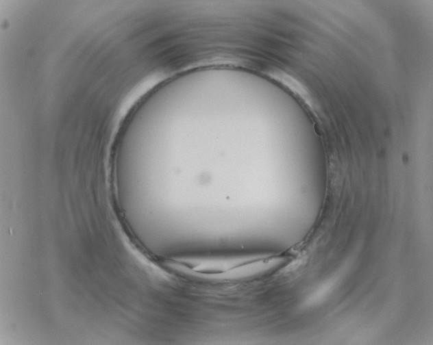 X0000077361135200611171916