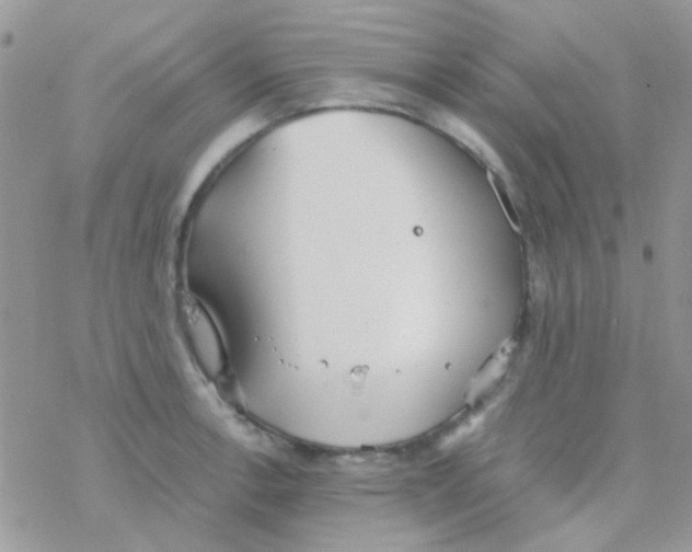 X0000077361138200611171917