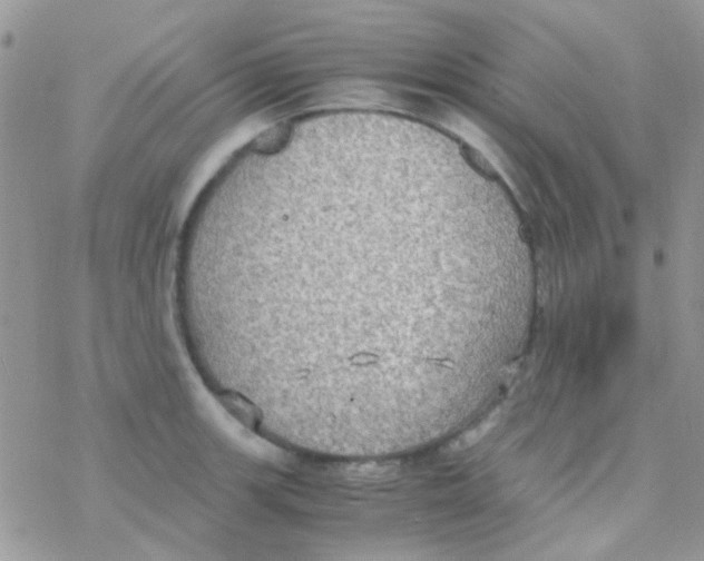 X0000077361139200611171917