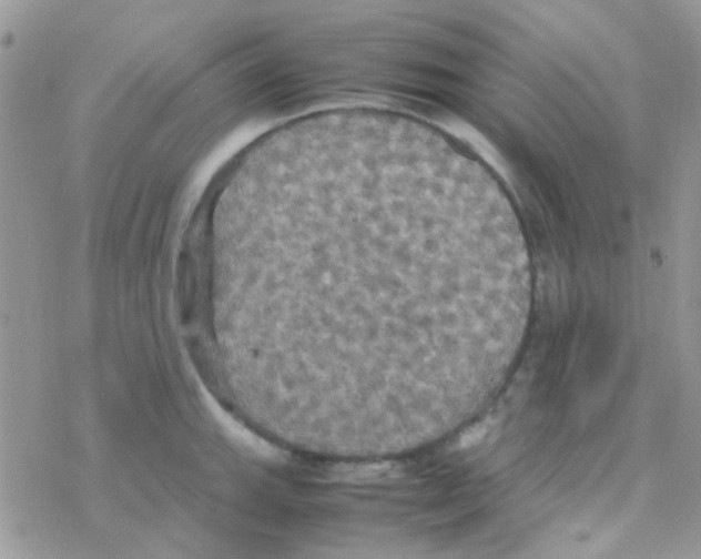 X0000077361143200611171917