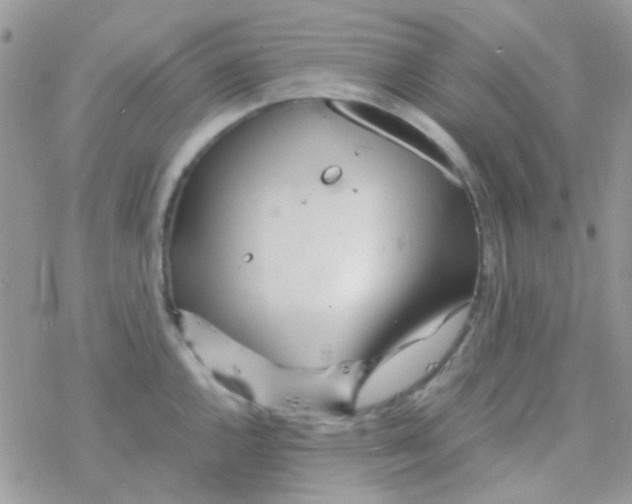 X0000077361144200611171917