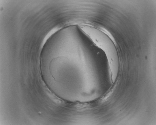 X0000077361146200611171917