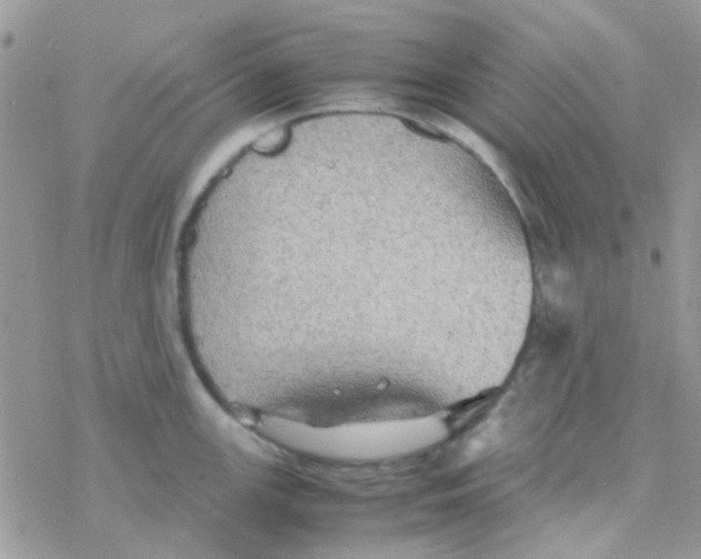 X0000077361147200611171917