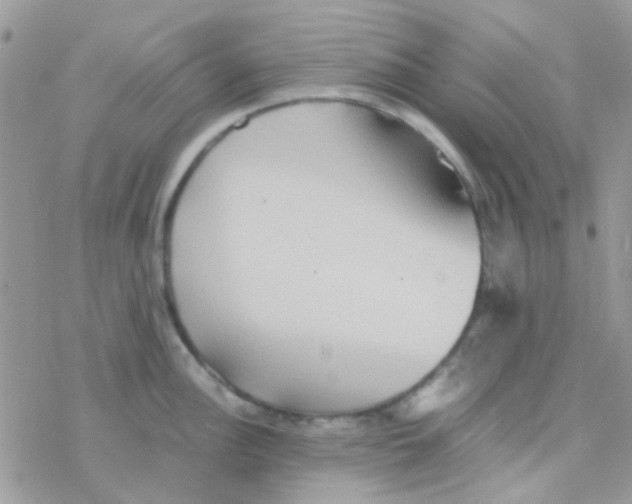 X0000077361148200611171917