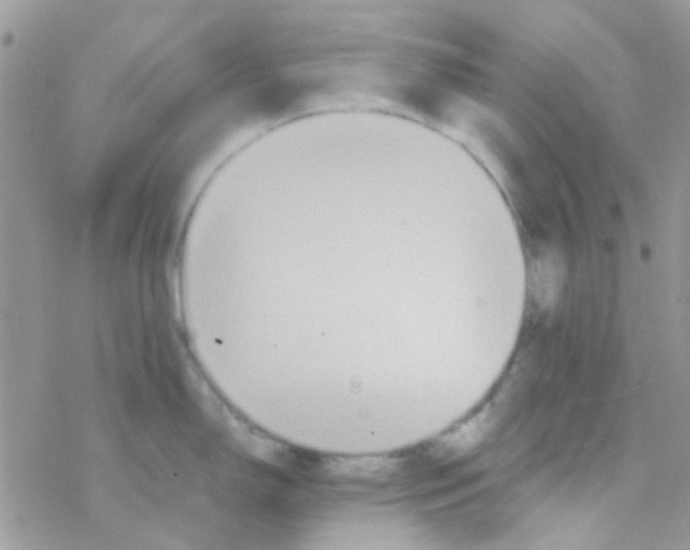 X0000077361150200611171917