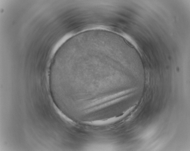 X0000077361151200611171917