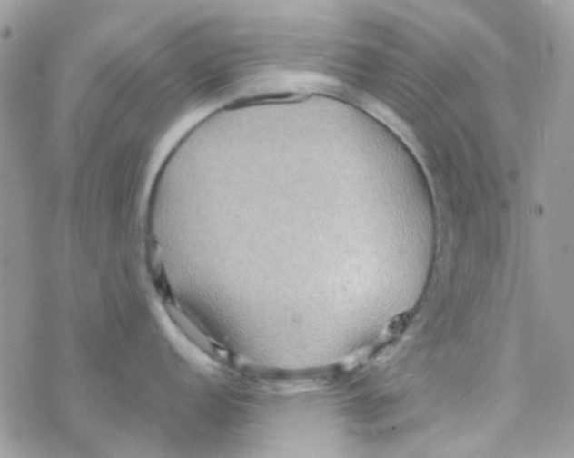 X0000077361152200611171917