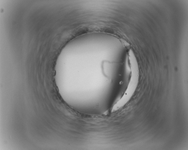 X0000077361153200611171916