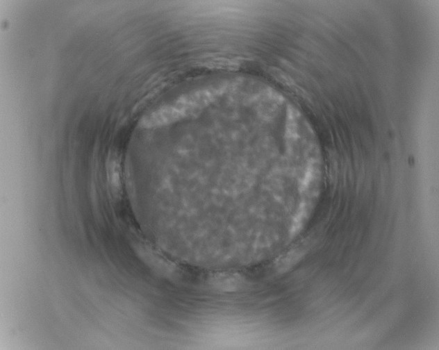 X0000077361154200611171916