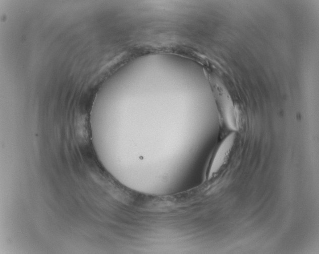 X0000077361156200611171916