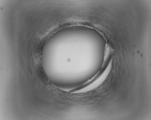 X0000077361157200611171916