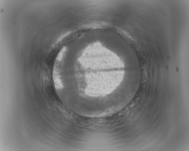 X0000077361158200611171916