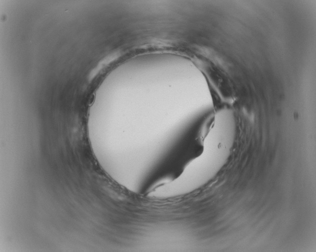 X0000077361160200611171916