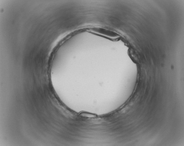 X0000077361168200611171916