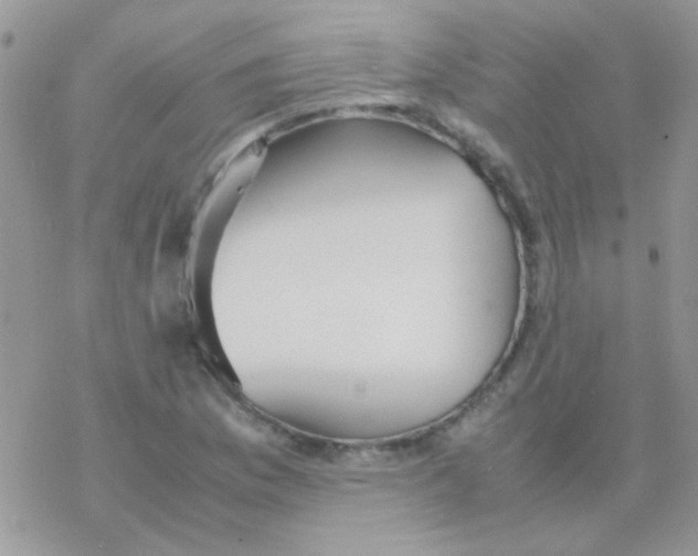 X0000077361169200611171916