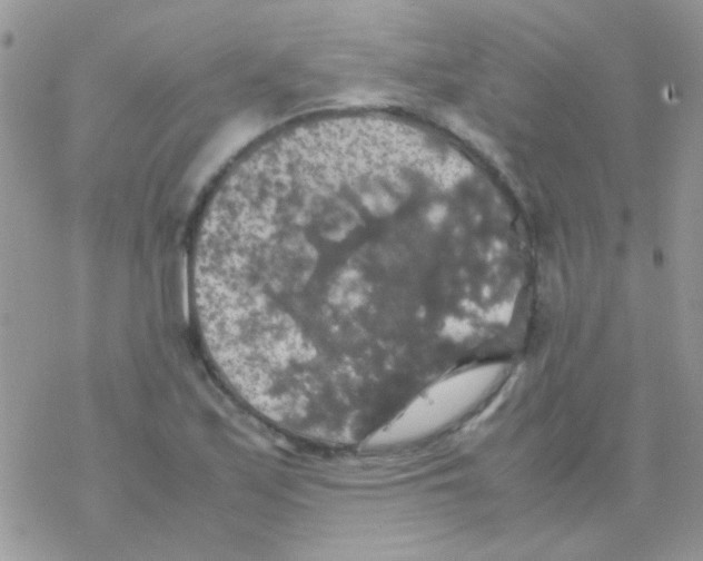 X0000077361171200611171916