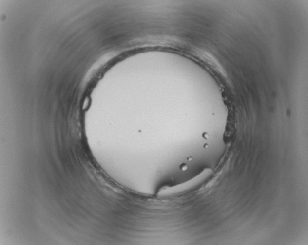 X0000077361172200611171916