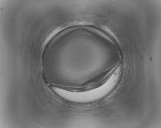 X0000077361173200611171916