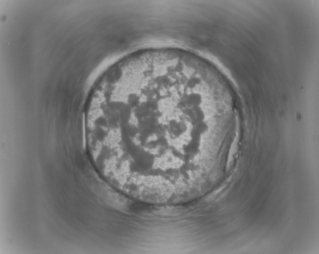 X0000077361175200611171916