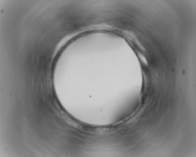 X0000077361176200611171916