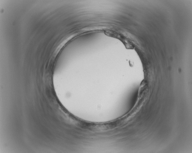 X0000077361177200611171916