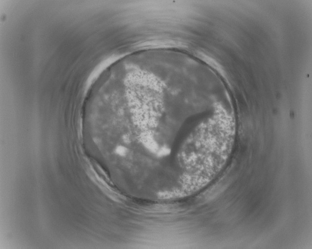 X0000077361179200611171916