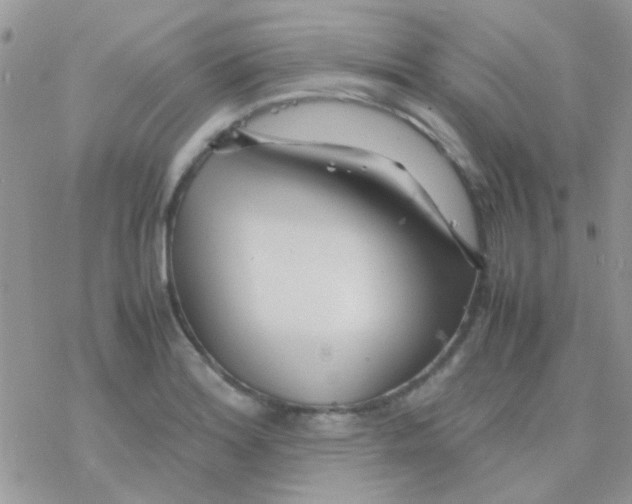 X0000077361180200611171916