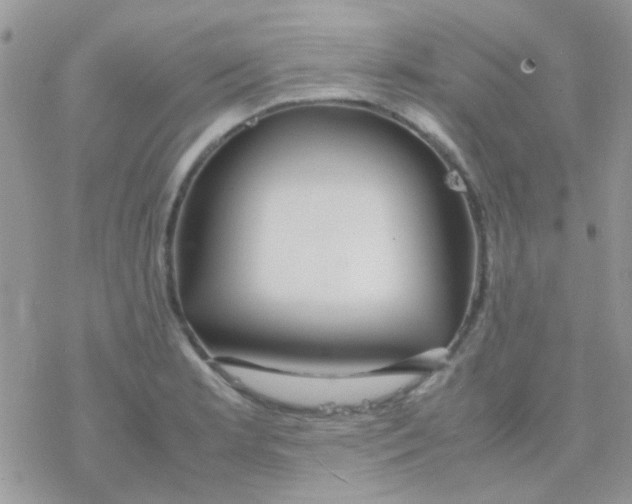 X0000077361181200611171916