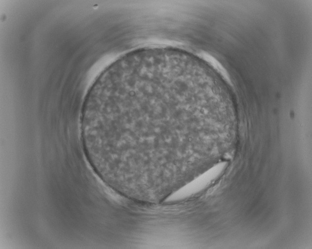 X0000077361183200611171915