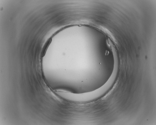 X0000077361184200611171915