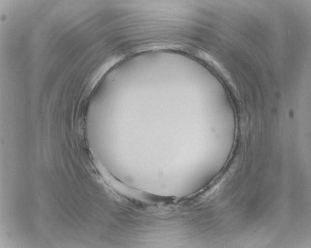 X0000077361185200611171915