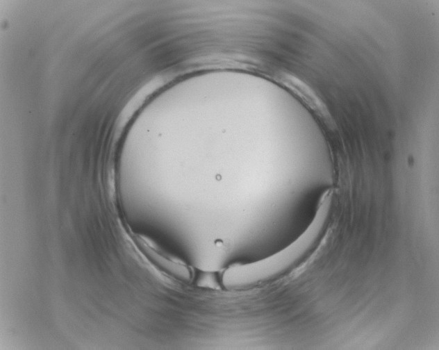 X0000077361188200611171915