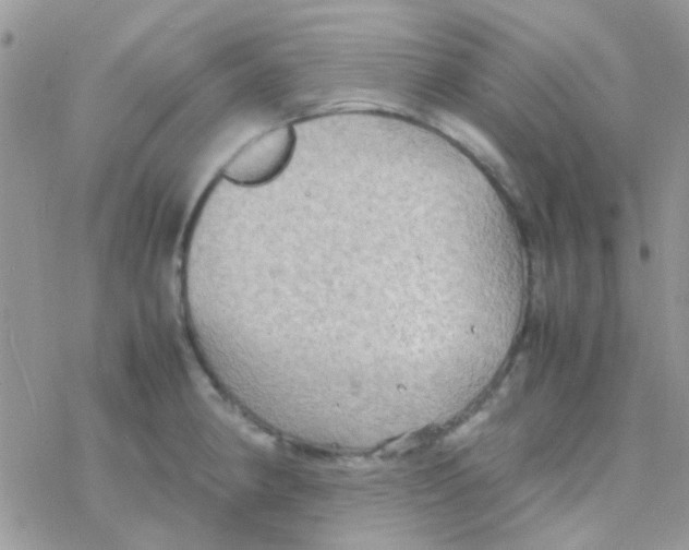 X0000077361190200611171915