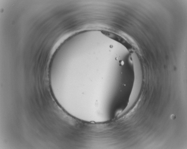 X0000077361192200611171915