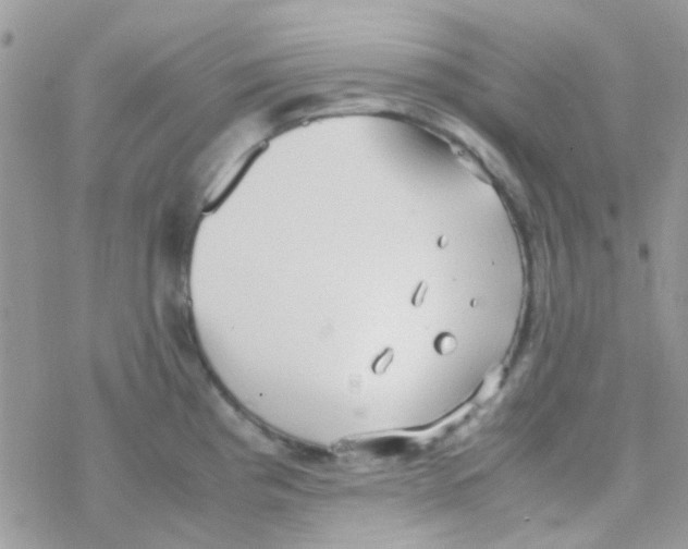 X0000077361193200611171915