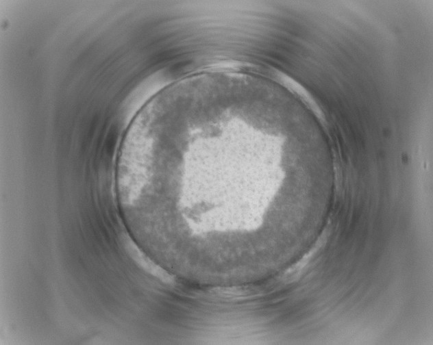 X0000077361194200611171915