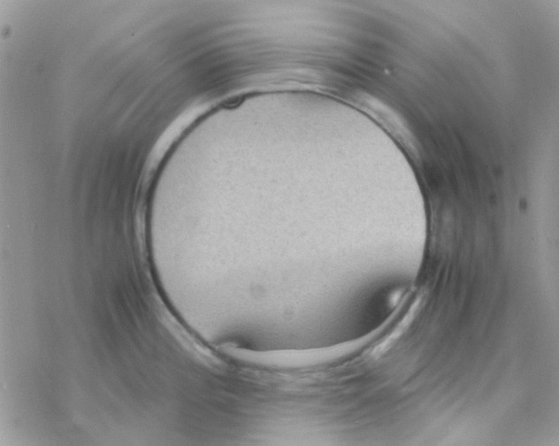 X0000077361196200611171915